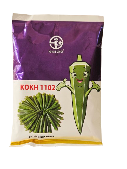 भेंडी कावेरी कोह ११०२ 