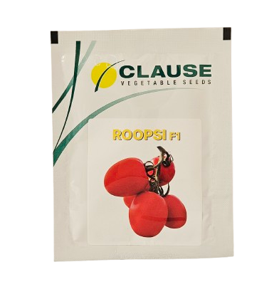 Buy Tomato Clause Roopsi Seeds Online in India – Dhartibeej
