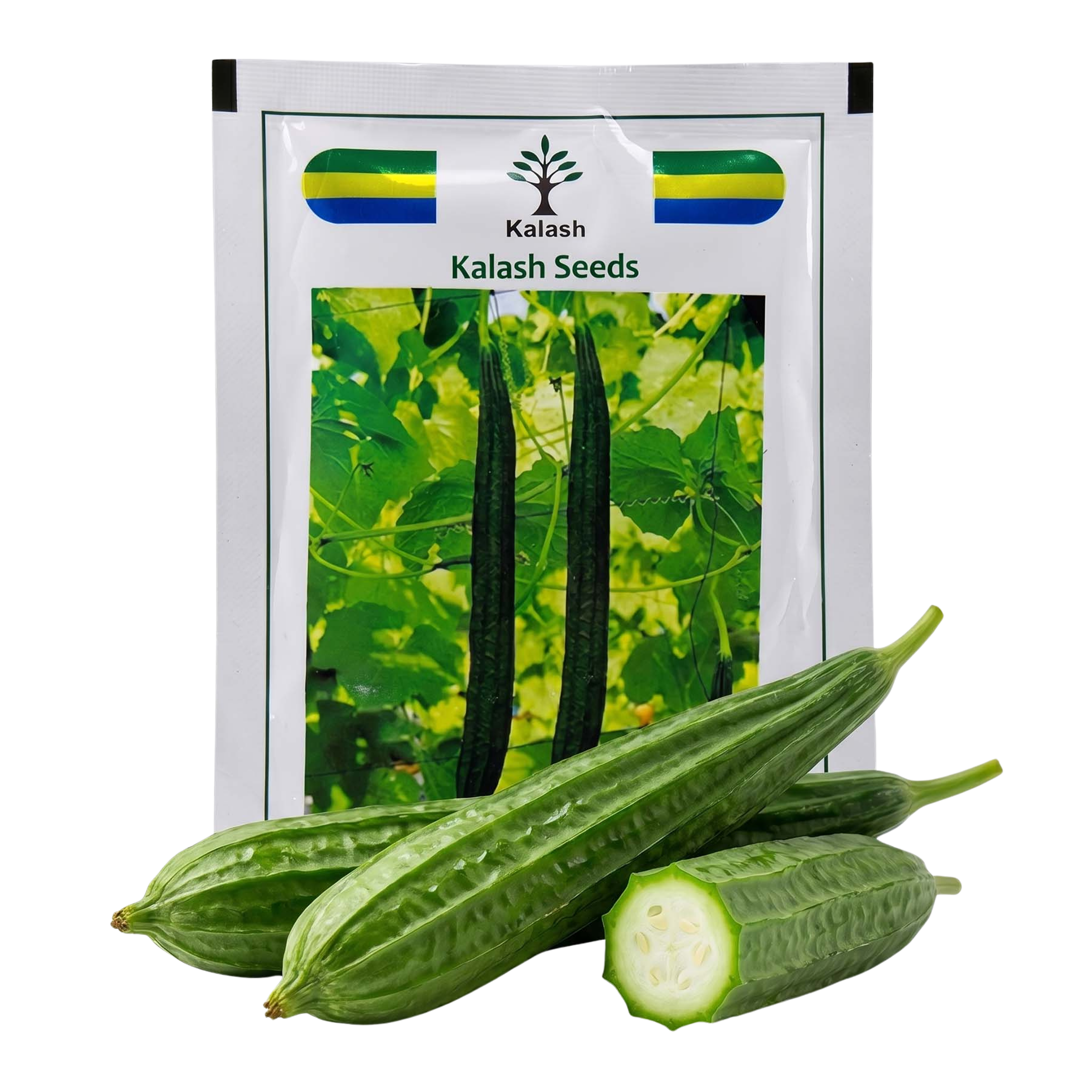 Ridgegourd Kalash Bss 580