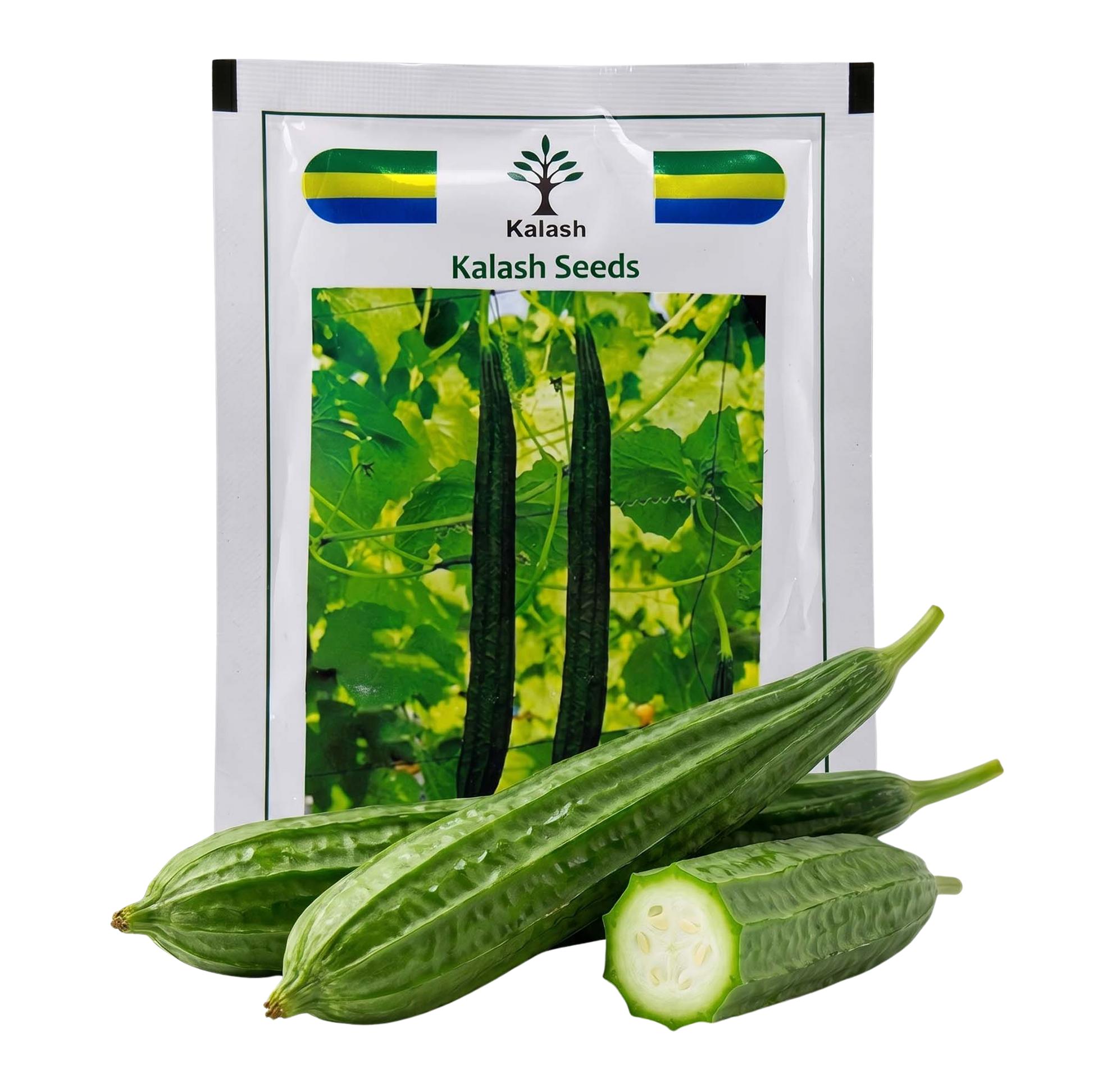 Ridgegourd Kalash Bss 580 Seeds for High Yield Farming | Dhartibeej
