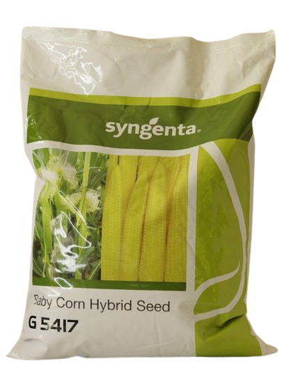 Babycorn SYN G 5417 Seeds for High Yield Farming – Dhartibeej