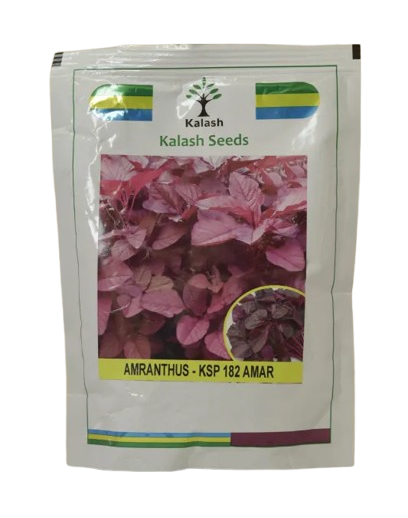 Amaranthus Kalash Ksp 182 Seeds Online India – Dhartibeej