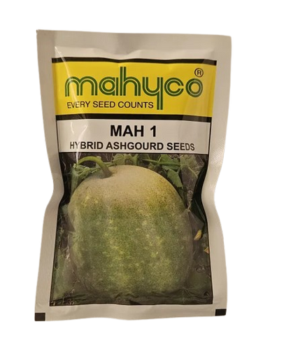 Ashgourd Mahyco Mah 1 Seeds for High Yield Farming – Dhartibeej