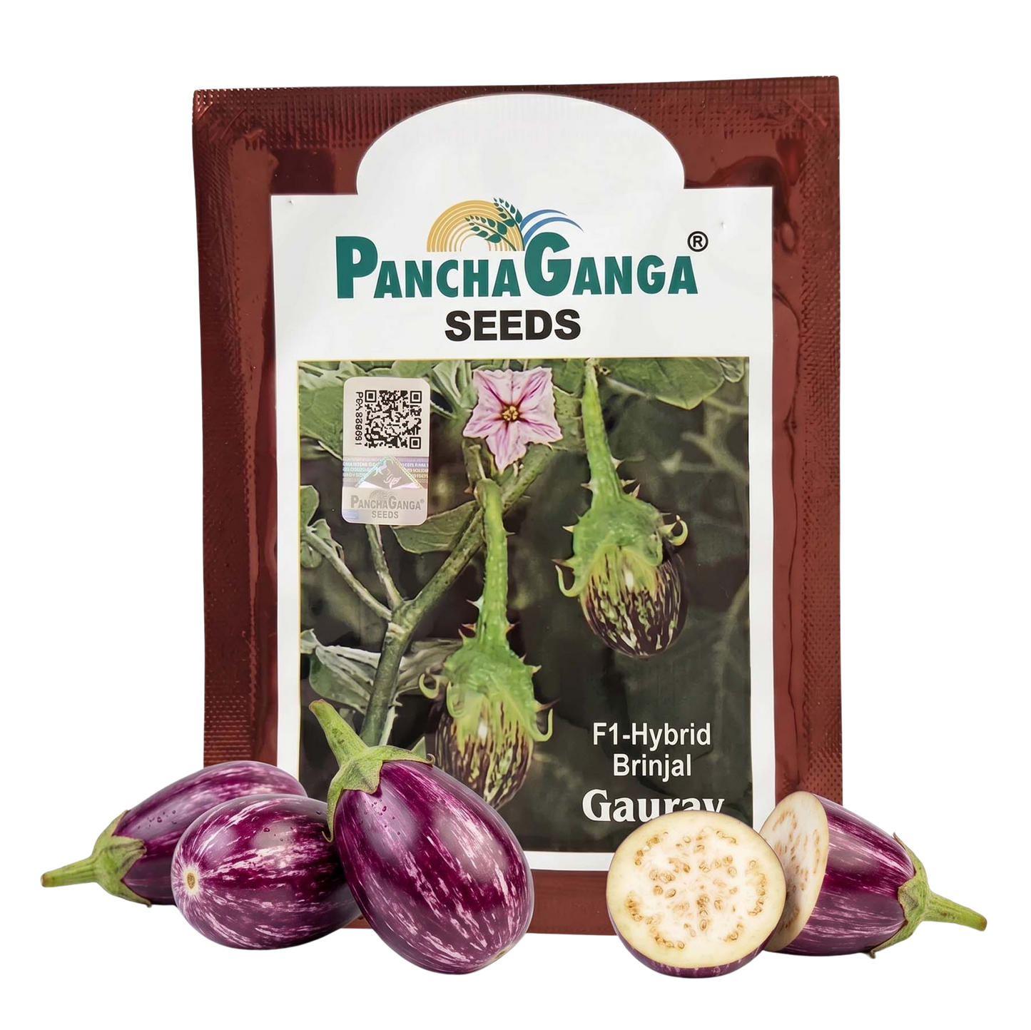 Brinjal Panchaganga Gaurav