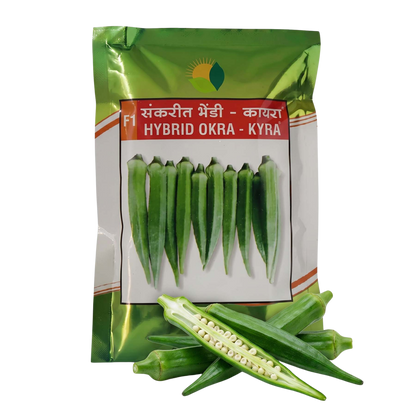 Bhendi Sun Agri Kyra Seeds for High Yield Farming | Dhartibeej