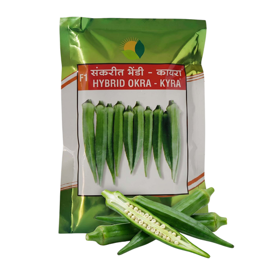 Bhendi Sun Agri Kyra Seeds for High Yield Farming | Dhartibeej