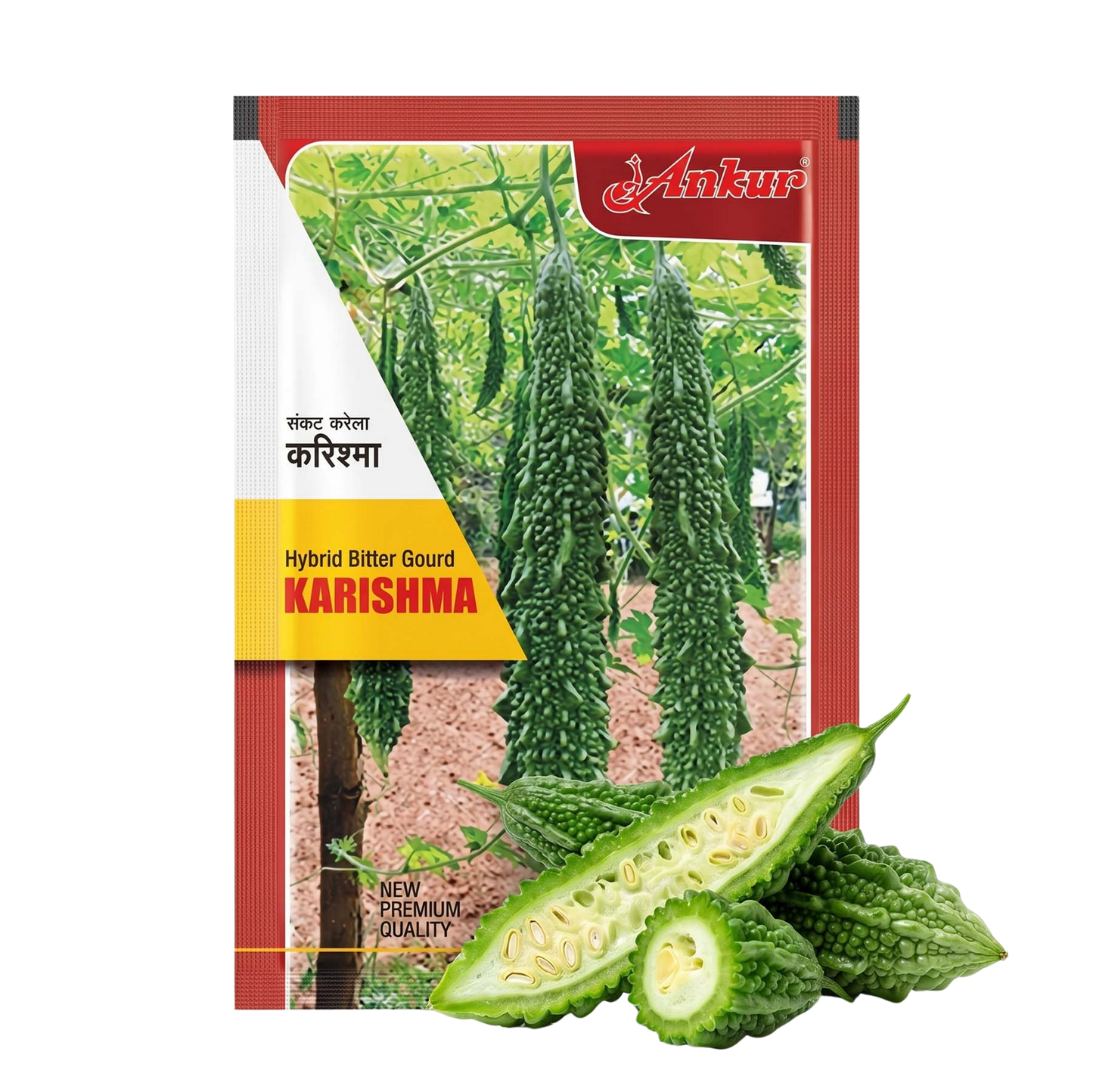 Bitter Gourd Ankur Karishma Seeds Online | Dhartibeej