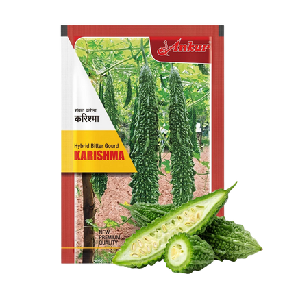 Bitter Gourd Ankur Karishma Seeds Online | Dhartibeej