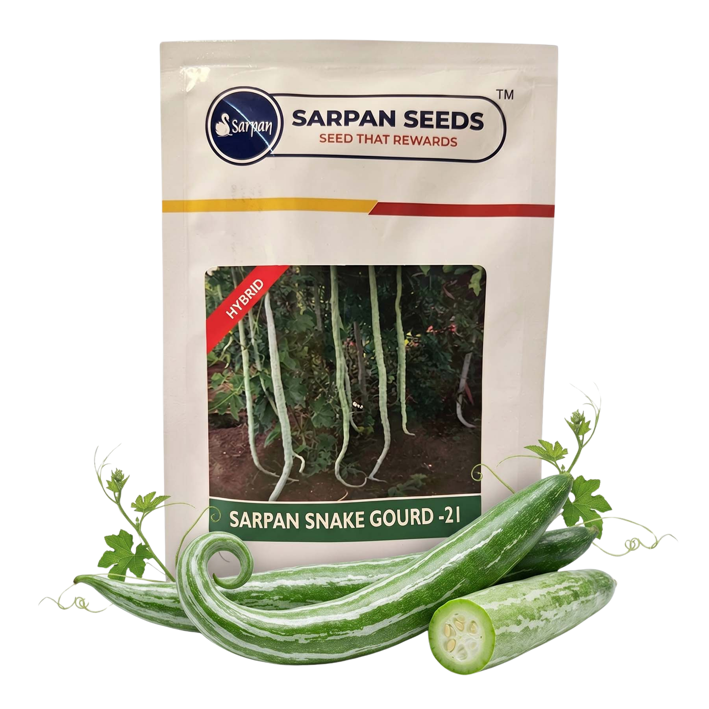 Snakegourd Sarpan Ssg 21