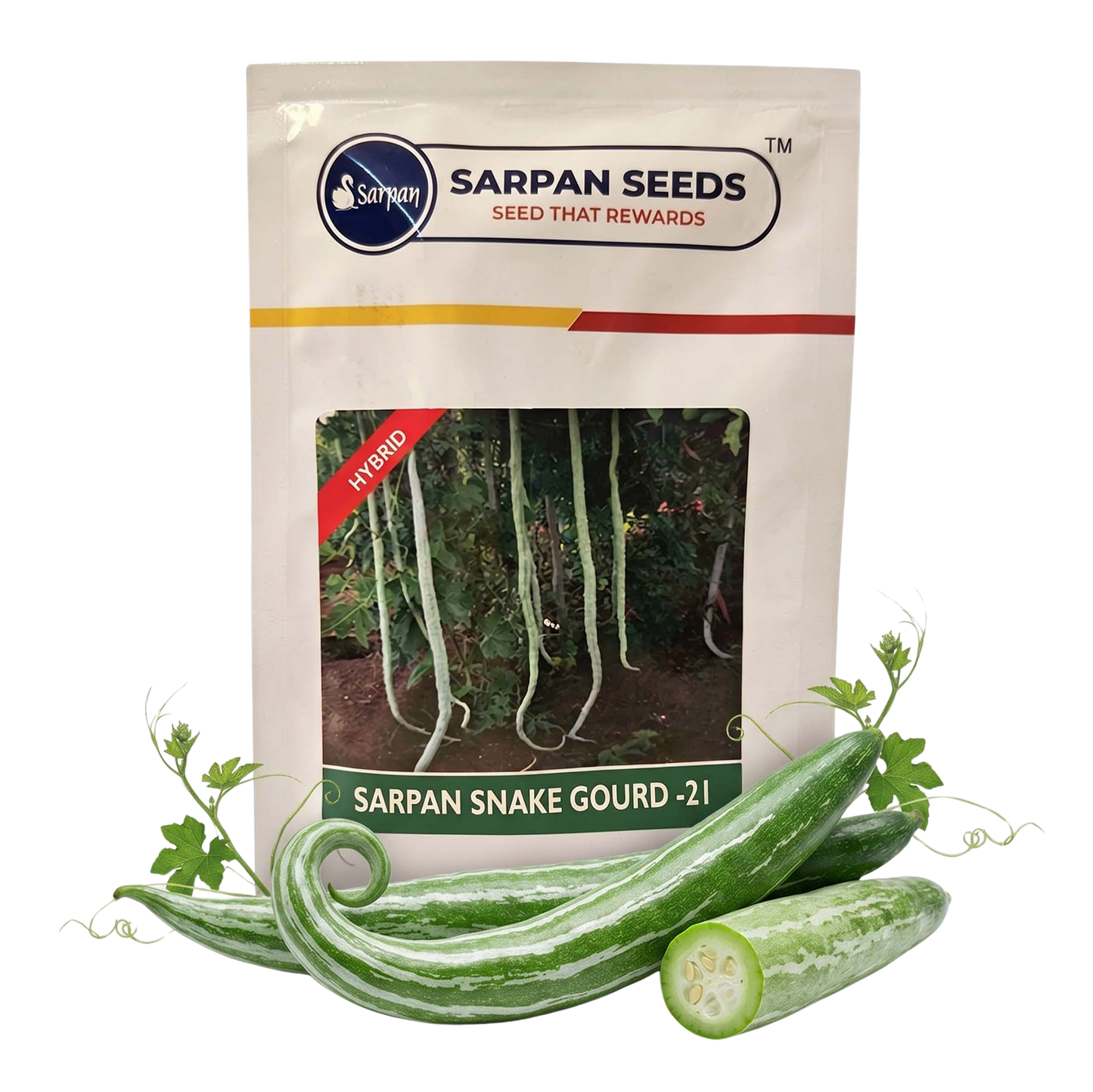 Snakegourd Sarpan Ssg 21 Seeds Online | Dhartibeej