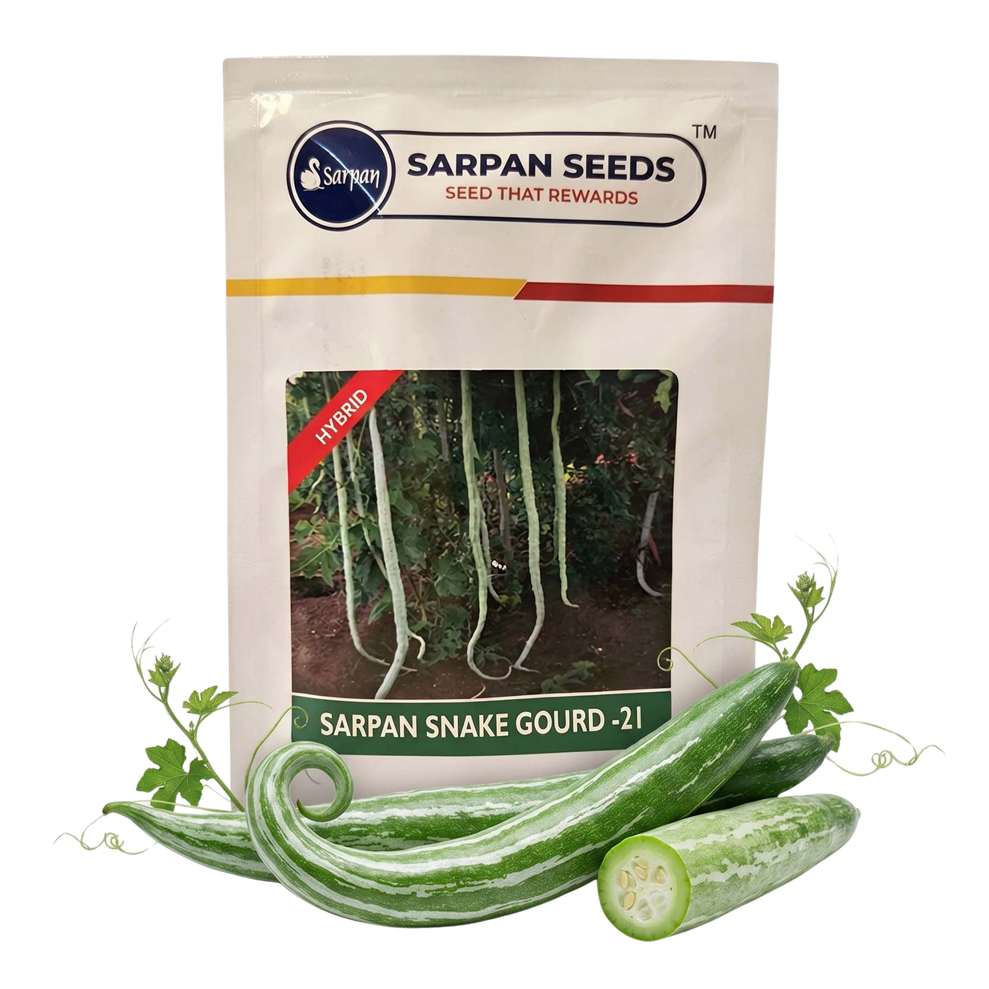 Snakegourd Sarpan Ssg 21 Seeds Online | Dhartibeej