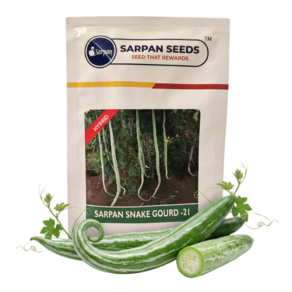 Snakegourd Sarpan Ssg 21 Seeds Online | Dhartibeej