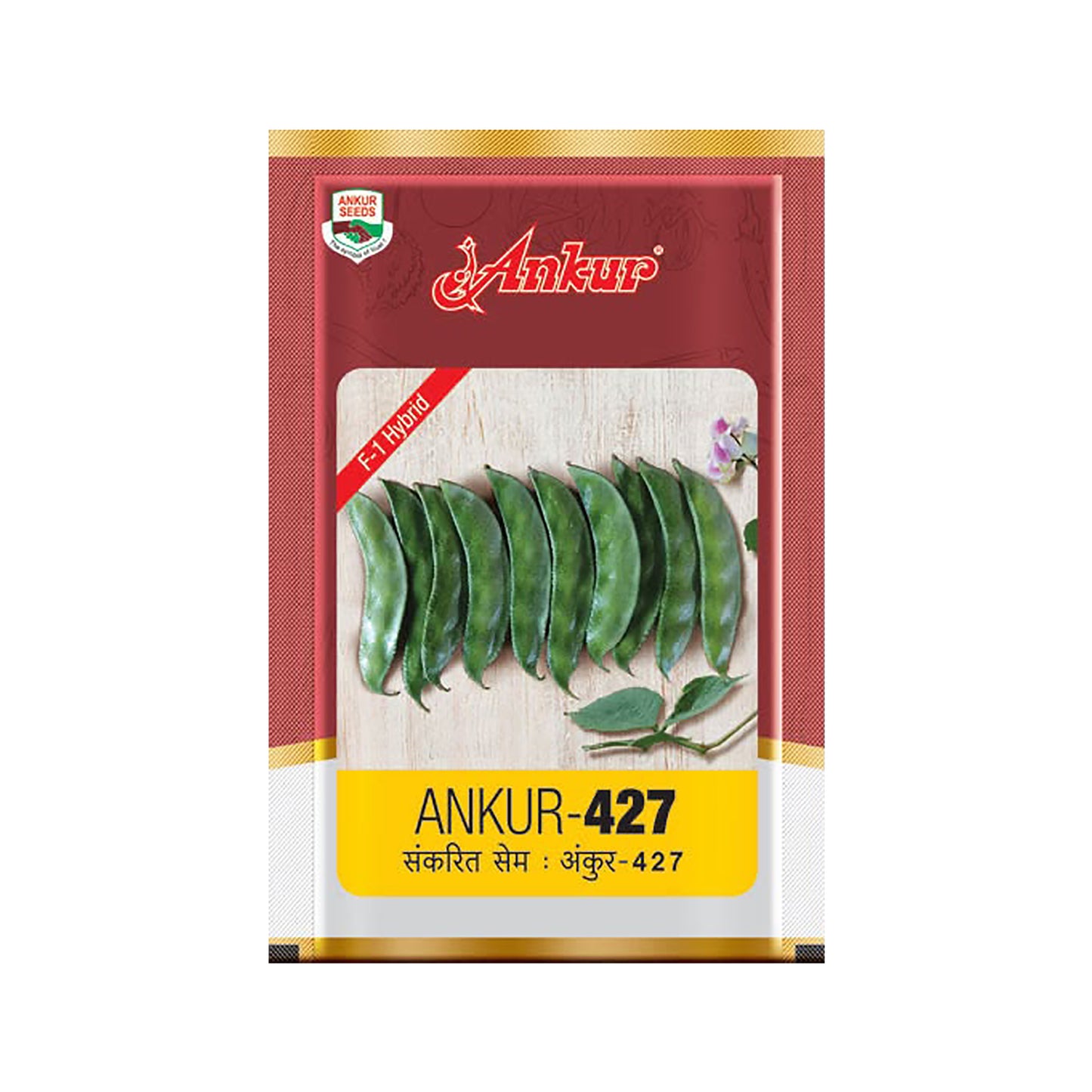 Beans Ankur 427 Seeds Online | Dhartibeej