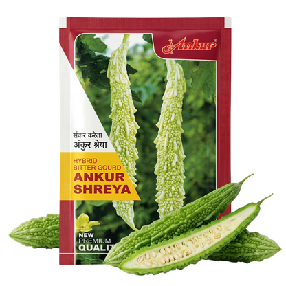 Bitter Gourd Ankur Shreya Seeds Online | Dhartibeej
