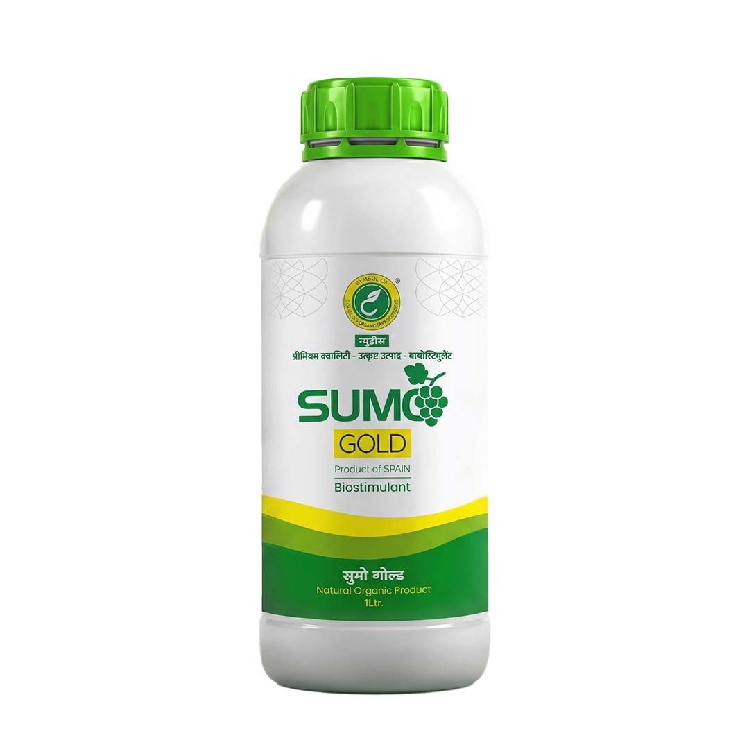Sumogold