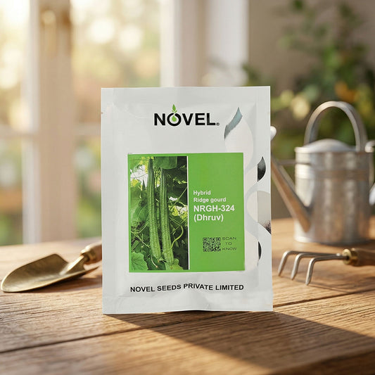 Ridgegourd Novel Nrgh 324 Dhruv Seeds Online | Dhartibeej