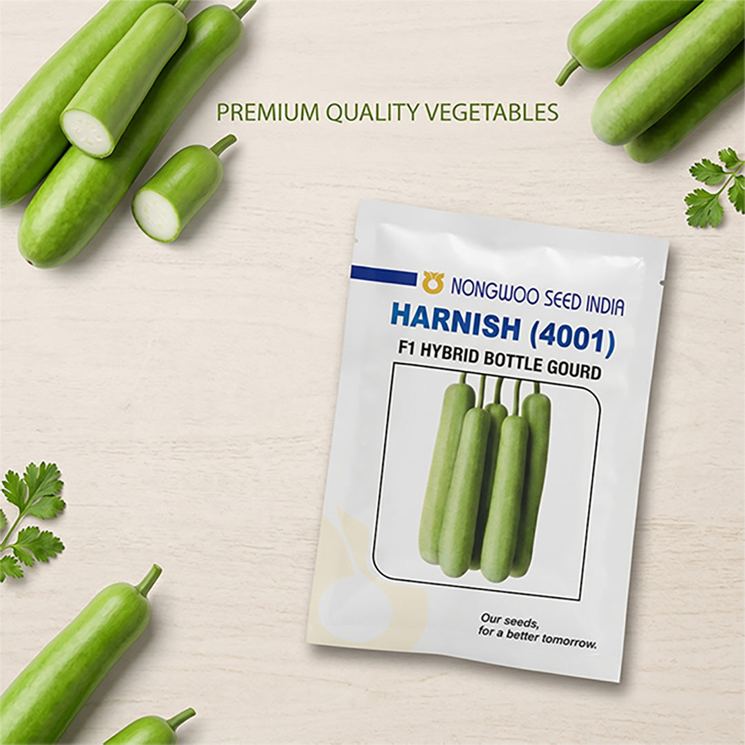 Bottlegourd Nongwoo Harnish Seeds for High Yield Farming | Dhartibeej