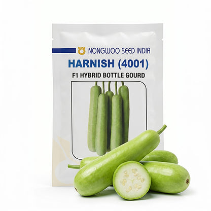 Bottlegourd Nongwoo Harnish Seeds for High Yield Farming | Dhartibeej