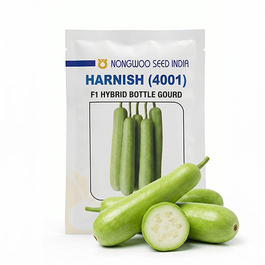 Bottlegourd Nongwoo Harnish Seeds for High Yield Farming | Dhartibeej