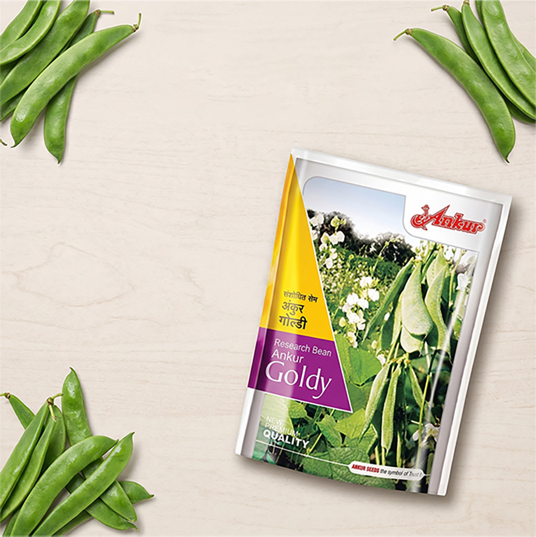 Beans Ankur Goldy Seeds Online | Dhartibeej