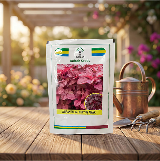 Amaranthus Kalash Ksp 182 Seeds Online | Dhartibeej