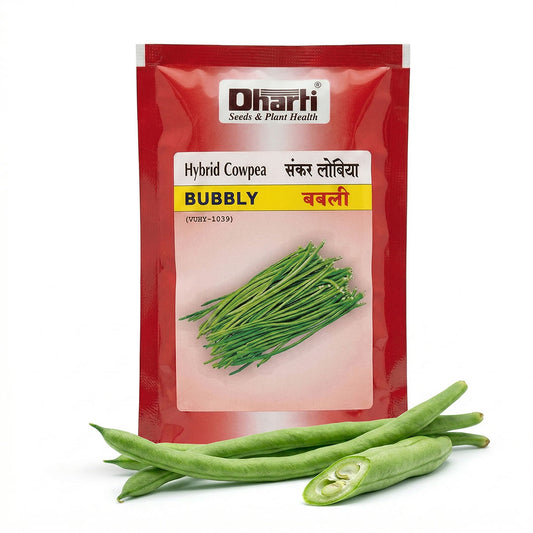Cowpea Dharti Bubbly Seeds for High Yield Farming | Dhartibeej