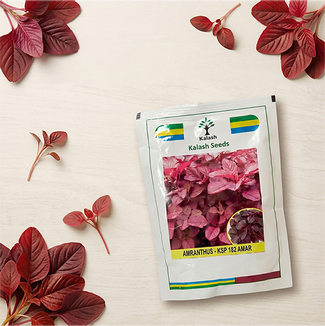Amaranthus Kalash Ksp 182 Seeds Online | Dhartibeej