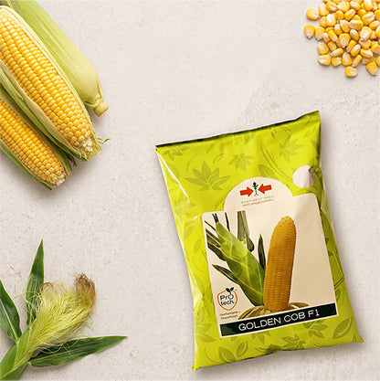 Sweetcorn East West Golden Cob Seeds Online | Dhartibeej