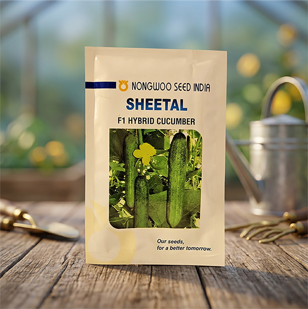 Cucumber Nongwoo Sheetal Seeds Online | Dhartibeej