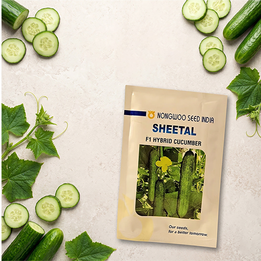 Cucumber Nongwoo Sheetal Seeds Online | Dhartibeej