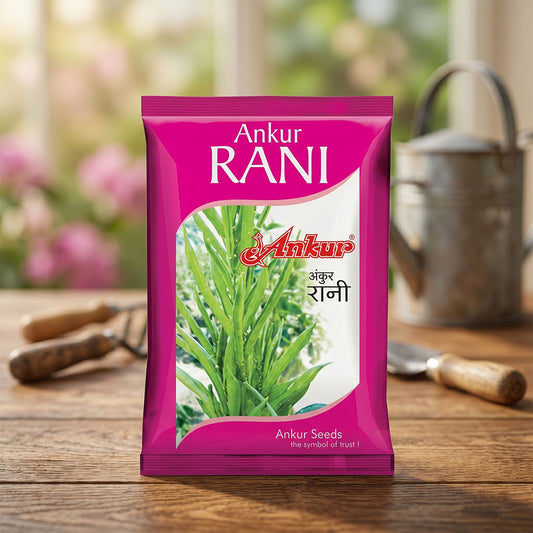 Gaur Ankur Rani Seeds Online | Dhartibeej