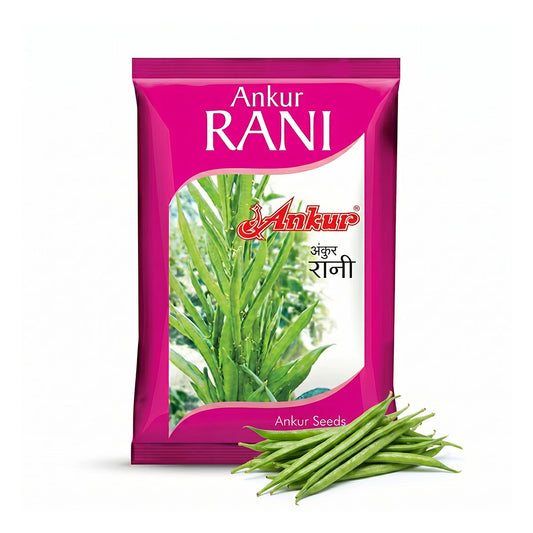 Gaur Ankur Rani Seeds Online | Dhartibeej