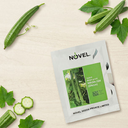 Ridgegourd Novel Nrgh 324 Dhruv Seeds Online | Dhartibeej