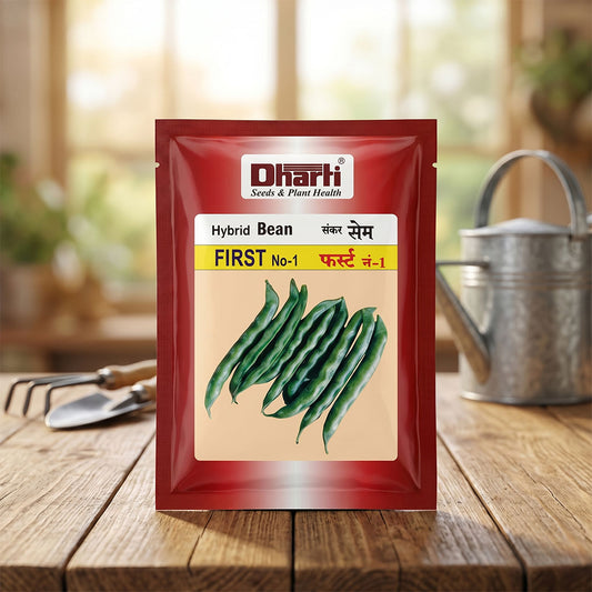 Beans Dharti First Seeds for High Yield Farming | Dhartibeej