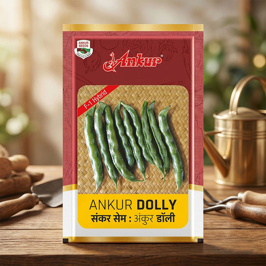 Beans Ankur Dolly Seeds Online | Dhartibeej