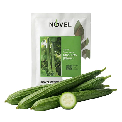 Ridgegourd Novel Nrgh 324 Dhruv Seeds Online | Dhartibeej
