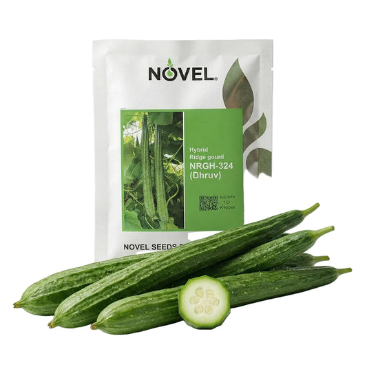 Ridgegourd Novel Nrgh 324 Dhruv Seeds Online | Dhartibeej