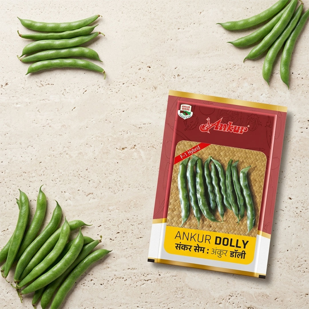 Beans Ankur Dolly Seeds Online | Dhartibeej