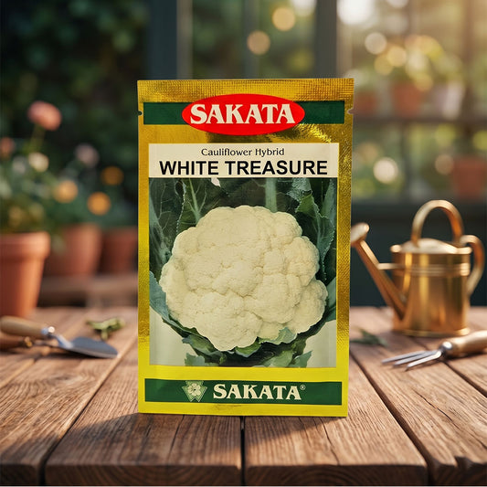 Cauliflower Sakata White Treasure Seeds for High Yield Farming | Dhartibeej