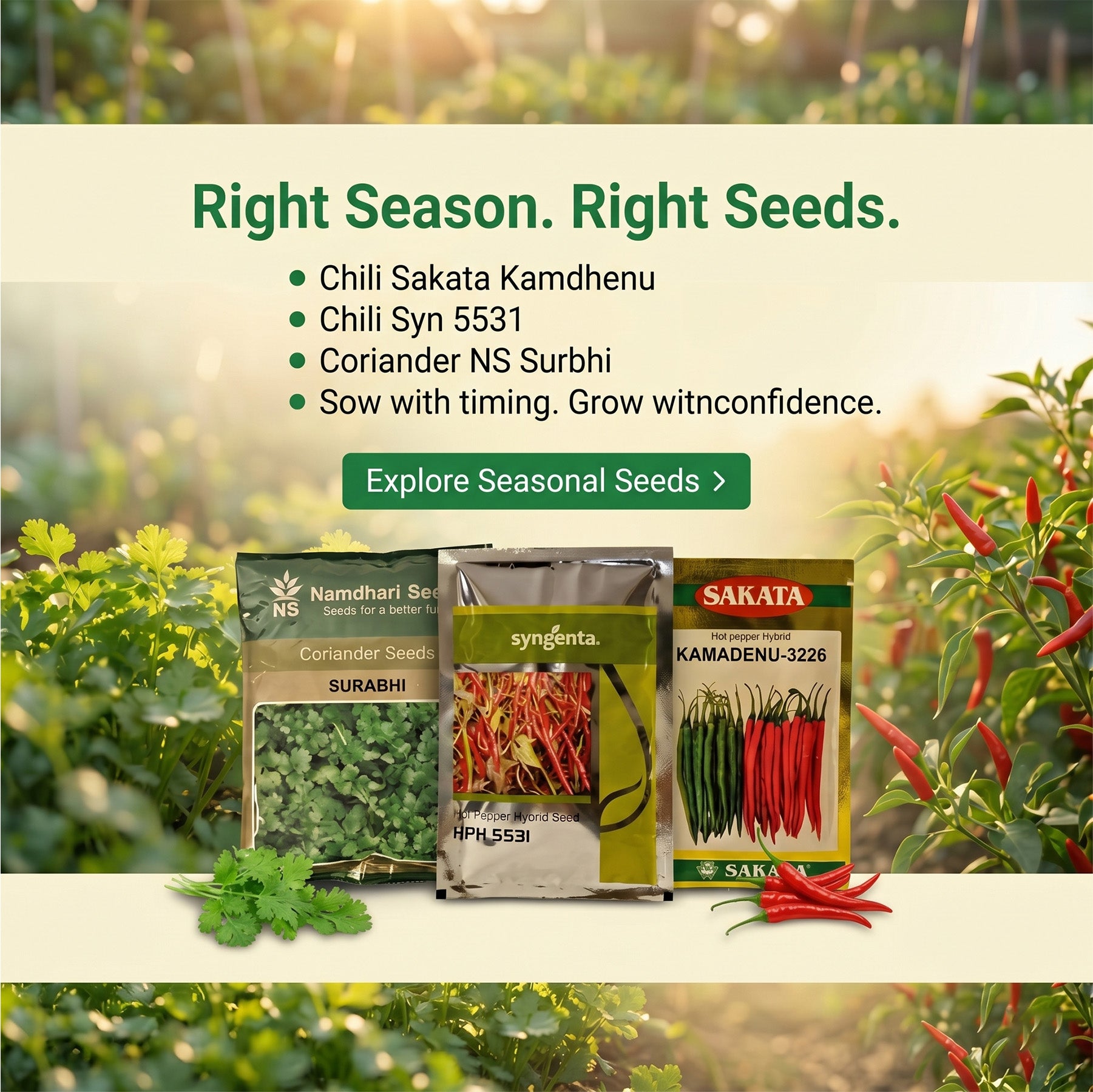Right Seeds For Seasonal Farming