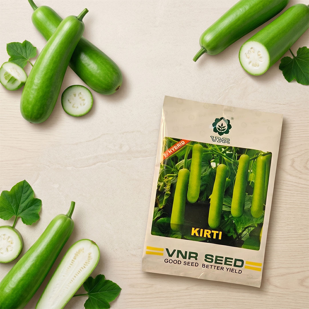 Bottelgourd Vnr Kirti Seeds Online | Dhartibeej