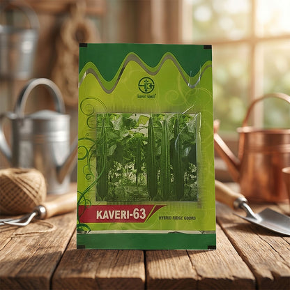 Ridgegourd Kaveri-63 Seeds for High Yield Farming | Dhartibeej