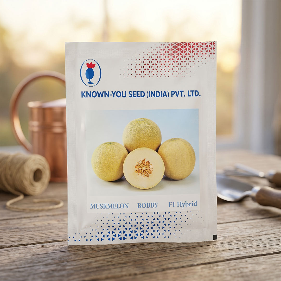 Muskmelon Bobby Seeds Online | Dhartibeej