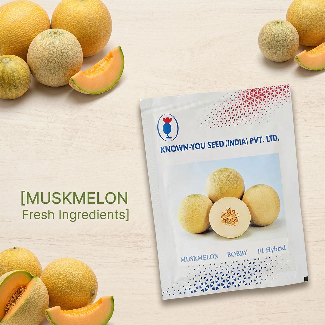 Muskmelon Bobby Seeds Online | Dhartibeej