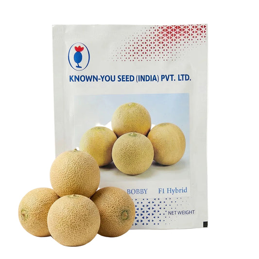Muskmelon Bobby Seeds Online | Dhartibeej