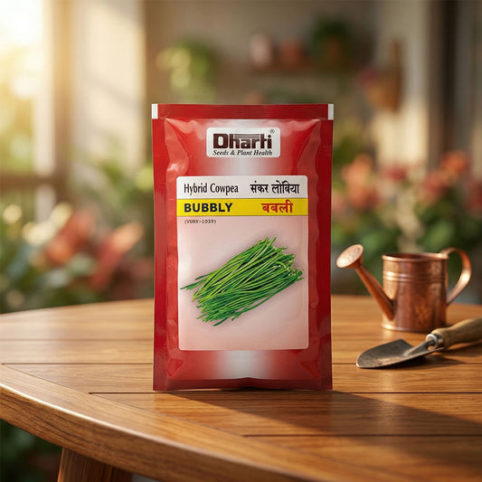 Cowpea Dharti Bubbly Seeds for High Yield Farming | Dhartibeej