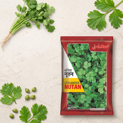 Coriander Ankur Nutan Seeds Online | Dhartibeej
