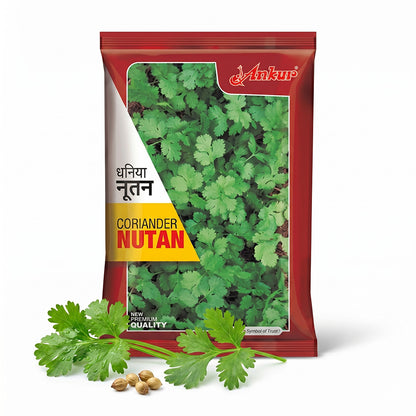 Coriander Ankur Nutan Seeds Online | Dhartibeej