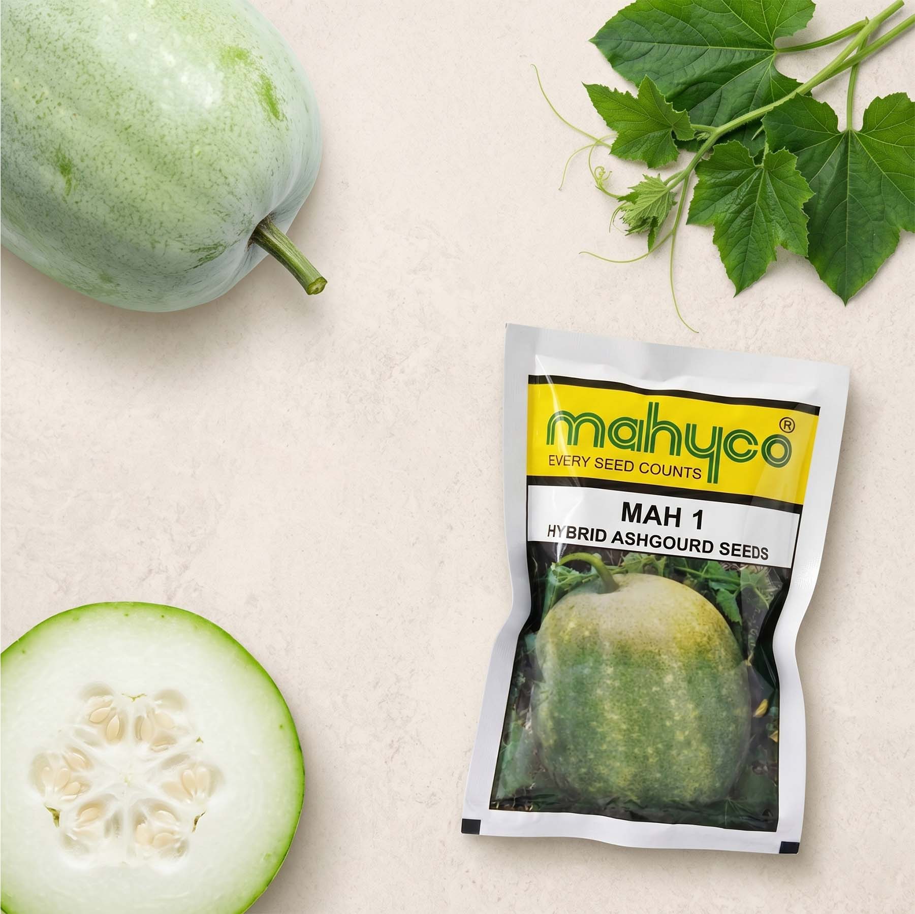 Ashgourd Mahyco Mah 1 Seeds for High Yield Farming | Dhartibeej