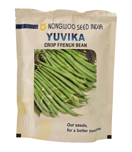 Buy Beans Nongwoo Yuvika Seeds Online in India – Dhartibeej